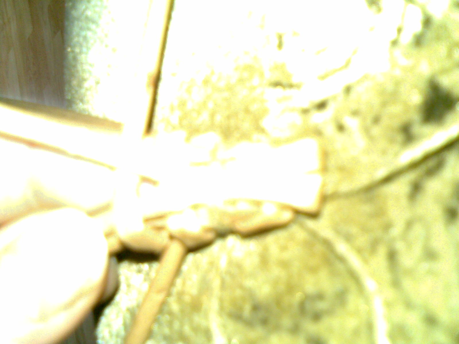 04042007(002)