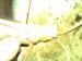 04042007(002)